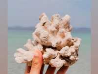 Sun, Sweat & Saltwater – Terengganu’s Tough Love