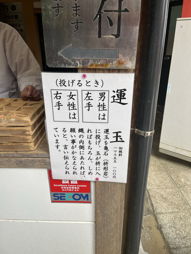 ⛩🌊 【宮崎・鵜戸神宮】 願いを、太平洋に託す旅へ。 