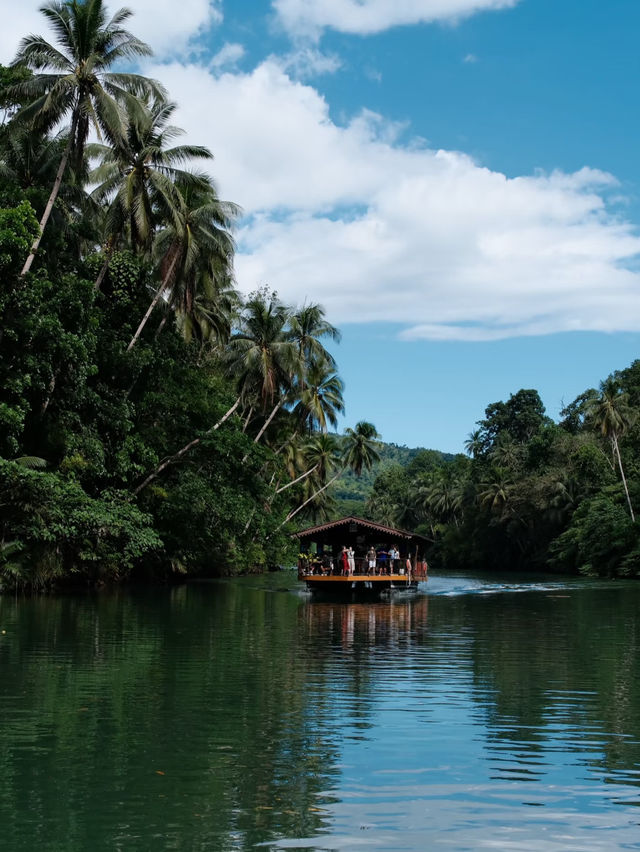 🇵🇭 Bohol & Panglao Summer Itinerary: Chocolate Hills to Sunset Bars