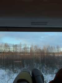 【フィンランド🇫🇮】寝台列車の旅夢のサンタクロースエクスプレス🎅🏼🚃
