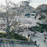Otowa Waterfall in 2026