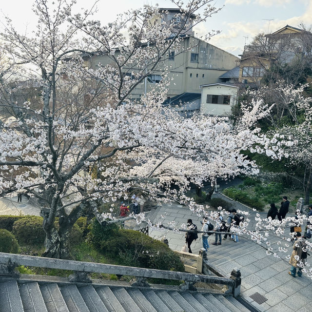 Otowa Waterfall in 2026