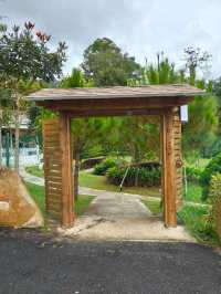 Nature Meets Style—And It’s Free to Explore