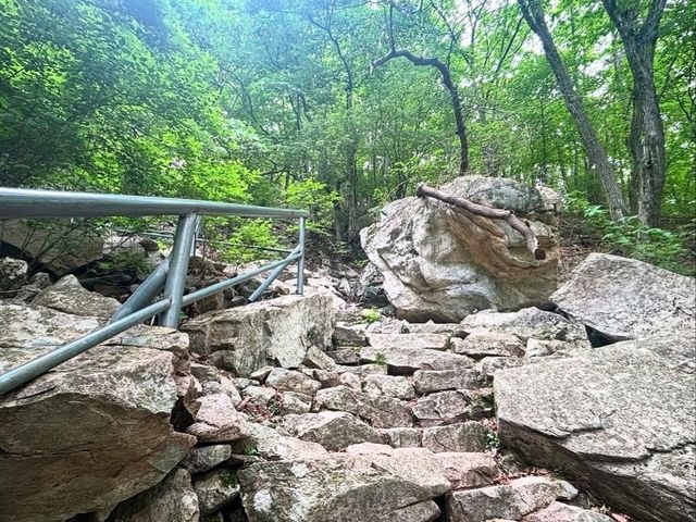 Suspension Bridges, Stairway to Heaven, and Leg Day Deluxe