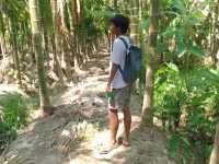 A Trip to a Betel Nut Farm