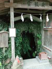 【鎌倉　佐助稲荷神社から源氏山へのライトトレッキング】