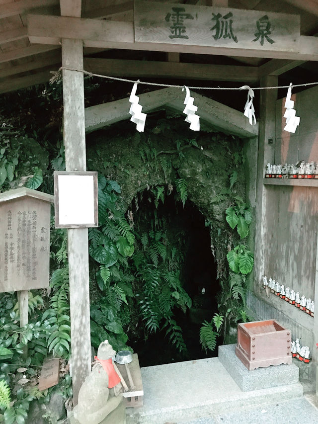 【鎌倉　佐助稲荷神社から源氏山へのライトトレッキング】