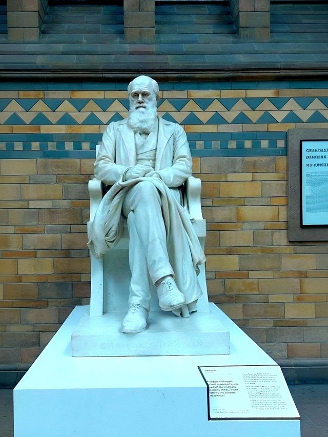Discover Nature’s Wonders, Dinosaurs & more for Free! A Day at London’s Natural History Museum. 