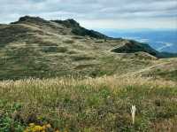 Hiking Hwawangsan, Sweaty, Scenic, and So Worth It
