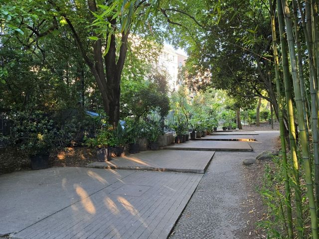 리스본의 야외데이트 장소 Jardim da Fundação Calouste Gulbenkian