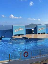 Ocean Park Hong Kong – Adventure Meets Conservation
