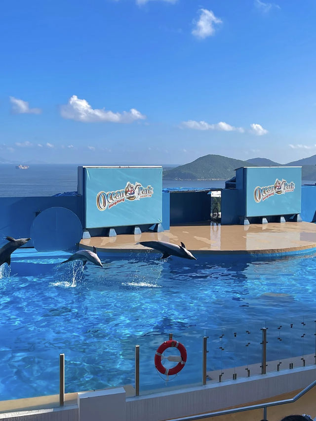 Ocean Park Hong Kong – Adventure Meets Conservation
