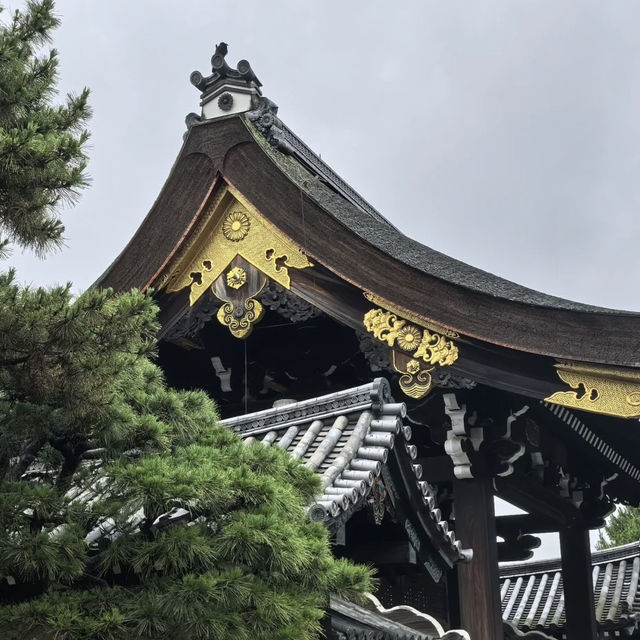 A Regal Walk Through Time – My Visit to Kyoto Imperial Palace