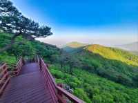 Summer Vibes and Killer Views in Incheon