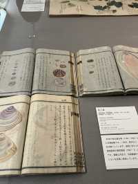 Tokyo National Museum – A Journey Through Japan’s Artistic Legacy  