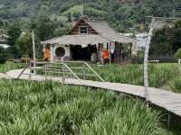 Ai Nara Cafe แม่ริม เชียงใหม่