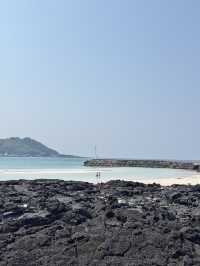 🌊 제주도 바다 여행기