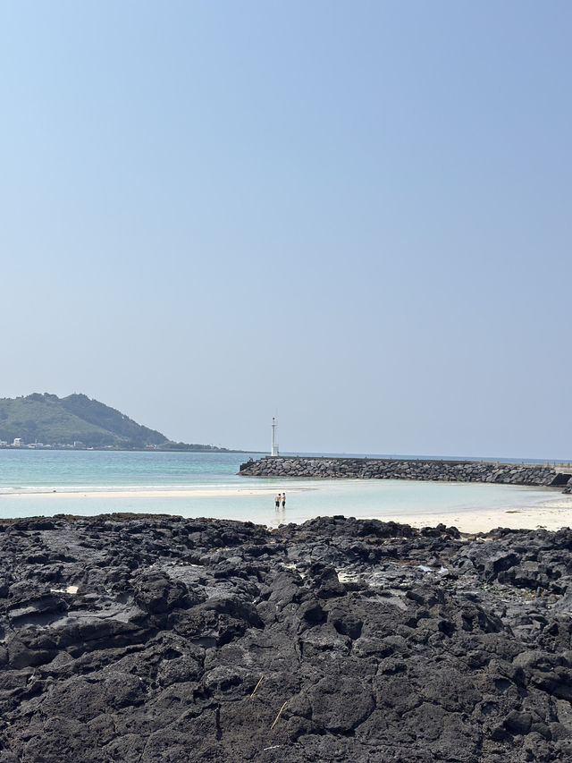 🌊 제주도 바다 여행기