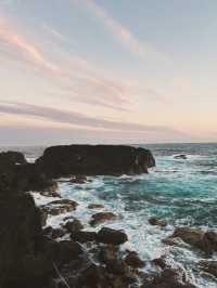【八丈島】海、山、牧場、自然溢れるおすすめ絶景スポット！