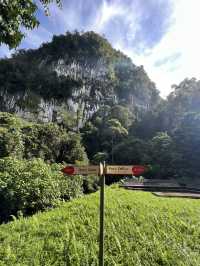 【Mulu Adventure：走进砂拉越的奇幻之境】 🌏⛰️🦇🌿