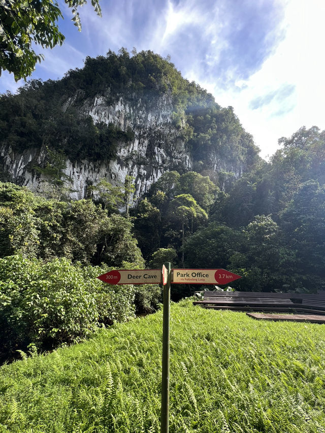 【Mulu Adventure：走进砂拉越的奇幻之境】 🌏⛰️🦇🌿