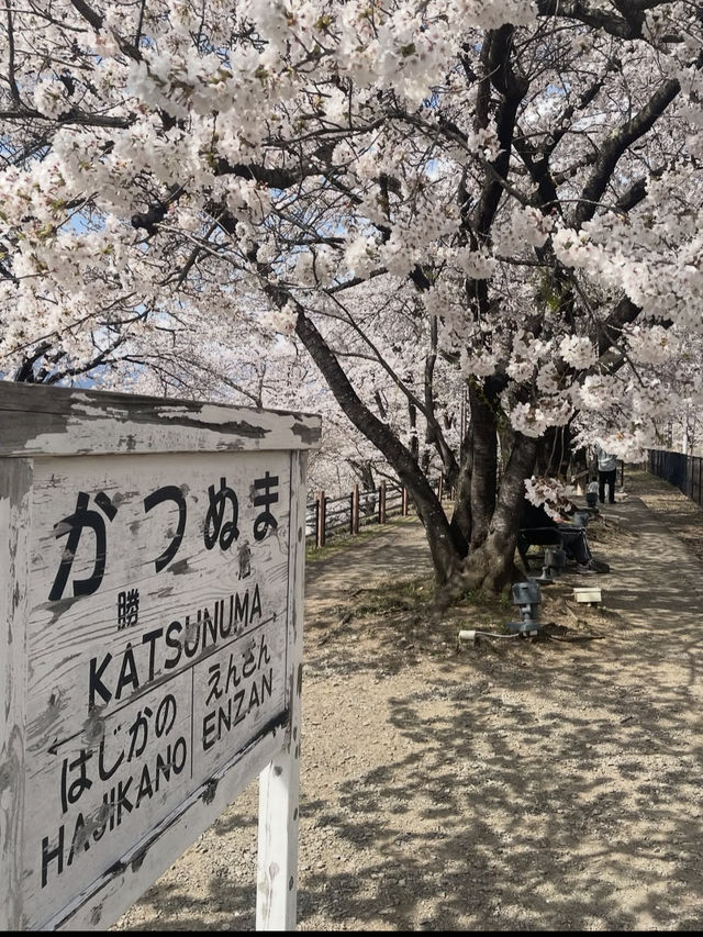 🍇ぶどうの楽園へ！勝沼ぶどう郷で味わう贅沢なひととき🍷