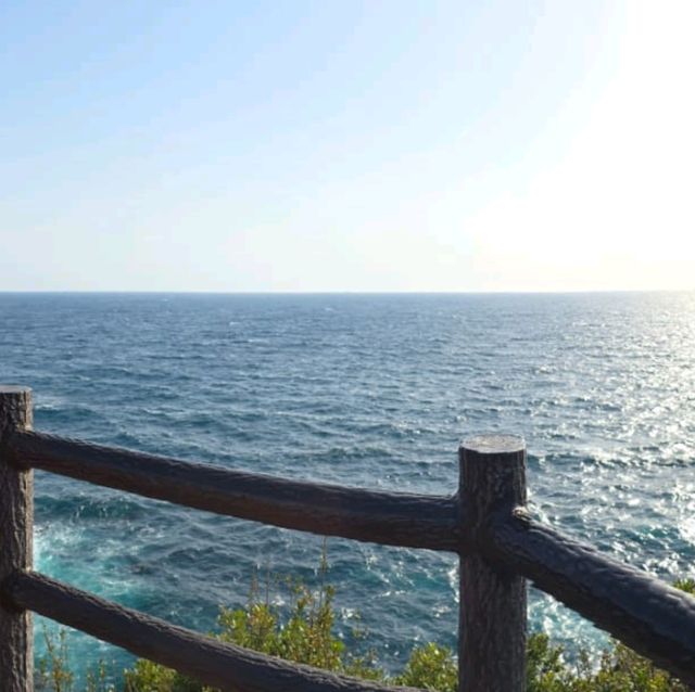 和歌山市3日遊攻略