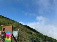 【雲上の絶景ロード】伊吹山ドライブウェイで空に向かう旅