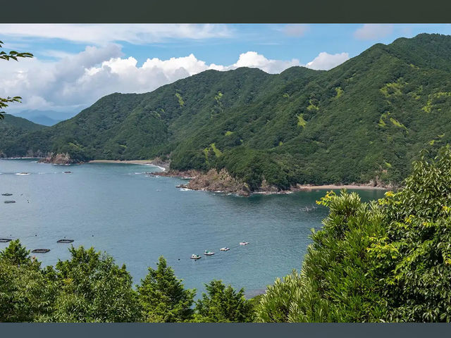 【熊野灘を一望！塩浜山村広場で爽快ハイキング＆絶景散歩】