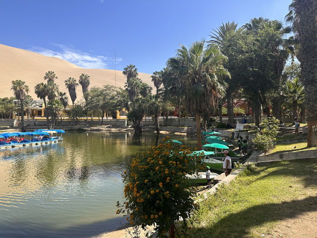 【Huacachina（ワカチナ）｜砂漠の真ん中に湧く神秘のオアシス】