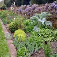 A Serene Afternoon at Caversham Court Gardens
