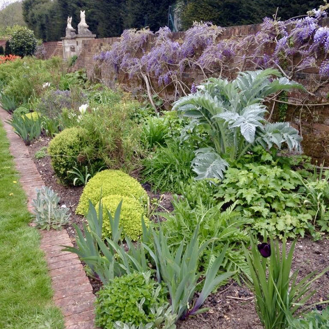 A Serene Afternoon at Caversham Court Gardens