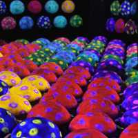 【夏のおでかけ】梅雨でも安心な室内型アートスポット💡