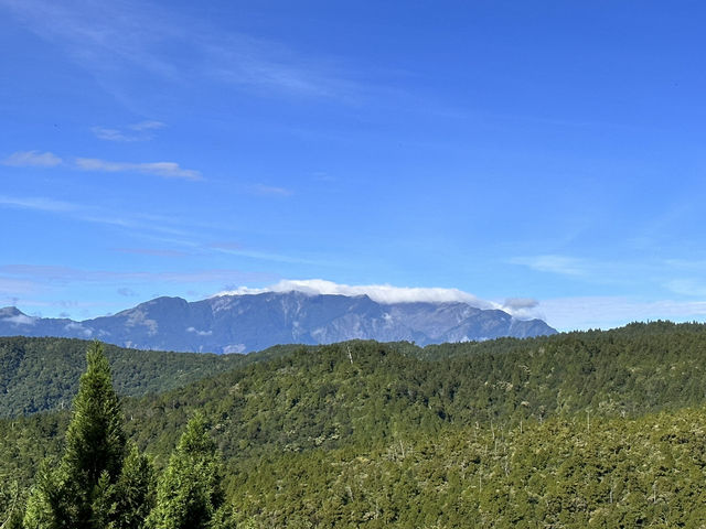 翠峰湖。臺灣山毛櫸步道