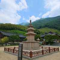 History, Nature & Zen Vibes at Pyochungsa Temple