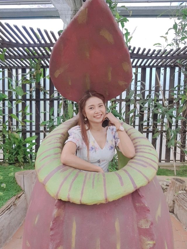 สวนพฤกษศาสตร์สมเด็จพระนางเจ้าสิริกิติ์ เชียงใหม่