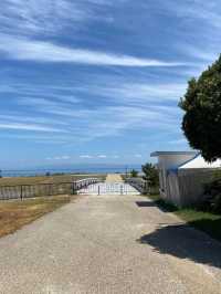 【国営明石海峡公園】海と花とアートが融合する、淡路島の癒しパーク旅🌼🎨
