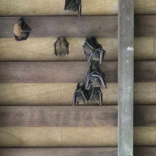 Sungei Buloh Wetland Reserve