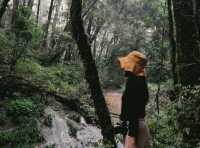 กิ่วแม่ปาน เส้นทางศึกษาธรรมชาติ ใน 1 วัน