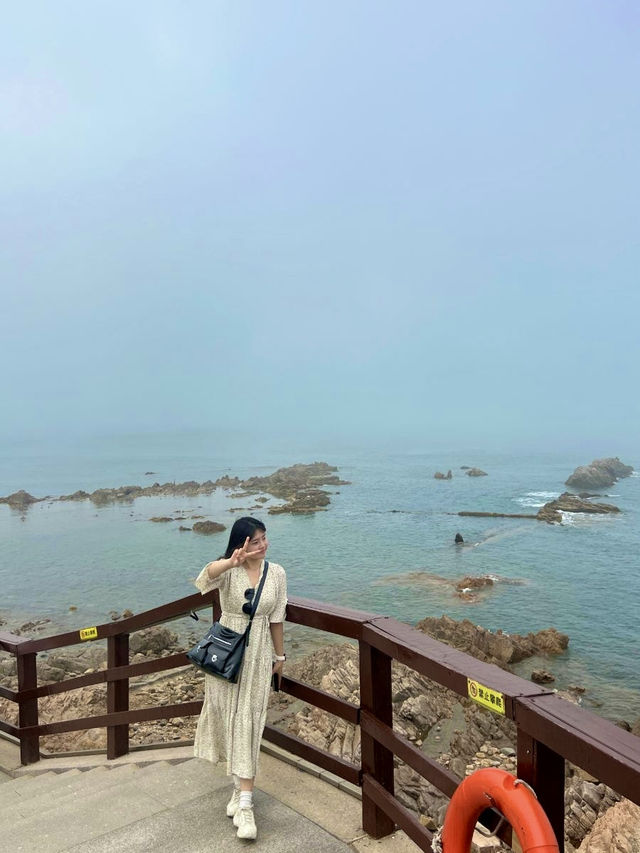 🌾잔잔한 바다 위 섬 산책, 칭따오 小麦岛에서 힐링하기🌊