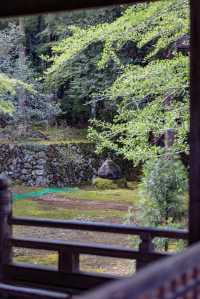 ~千光寺~莊嚴肅穆~