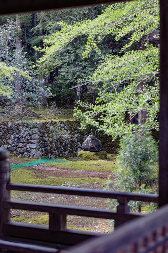 ~千光寺~莊嚴肅穆~