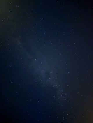 Oamaru's Little Blue Penguins and the Perfect Starry Sky