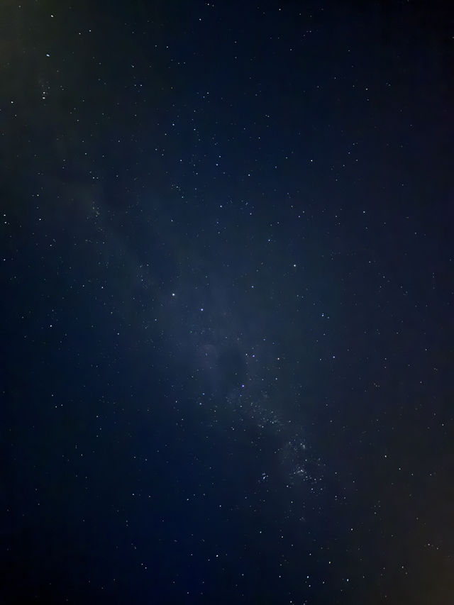 奧瑪魯 小藍企鵝跟完美星空