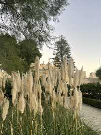 🌤️ 아무것도 하지 않아도 괜찮은 하루, 몰타
