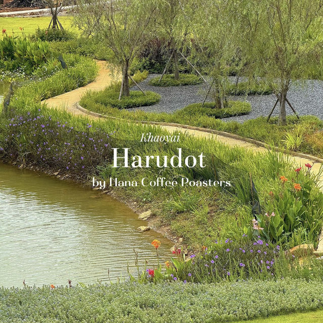 Harudot Khao Yai by Nana Coffee Roasters 🌷🌻🌥️