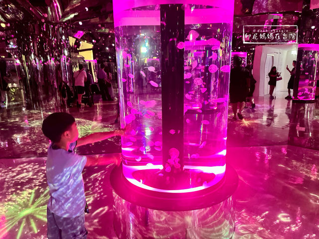 Xpark meets naked ocean light