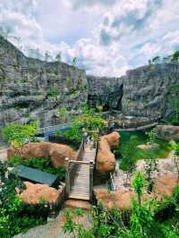 🌳🐒 “Step into the Wild!” – Asian Rainforest Adventure Singapore 