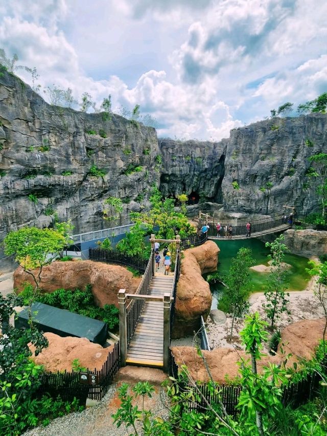 🌳🐒 “Step into the Wild!” – Asian Rainforest Adventure Singapore 