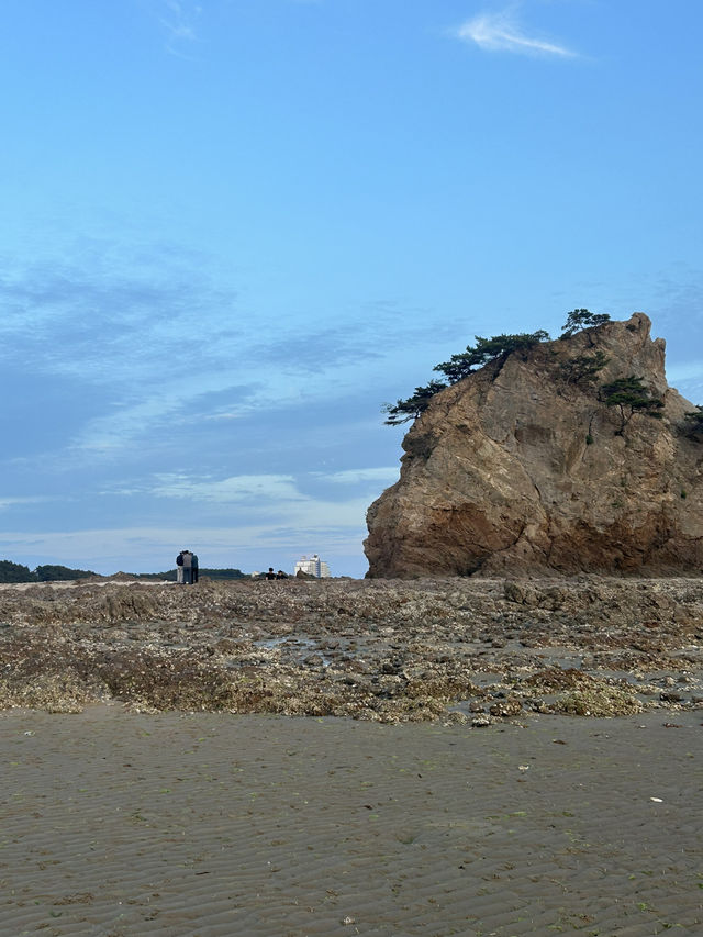🌅 할미·할아비 바위의 전설과 붉게 물드는 환상 일몰, 꽃지해수욕장 